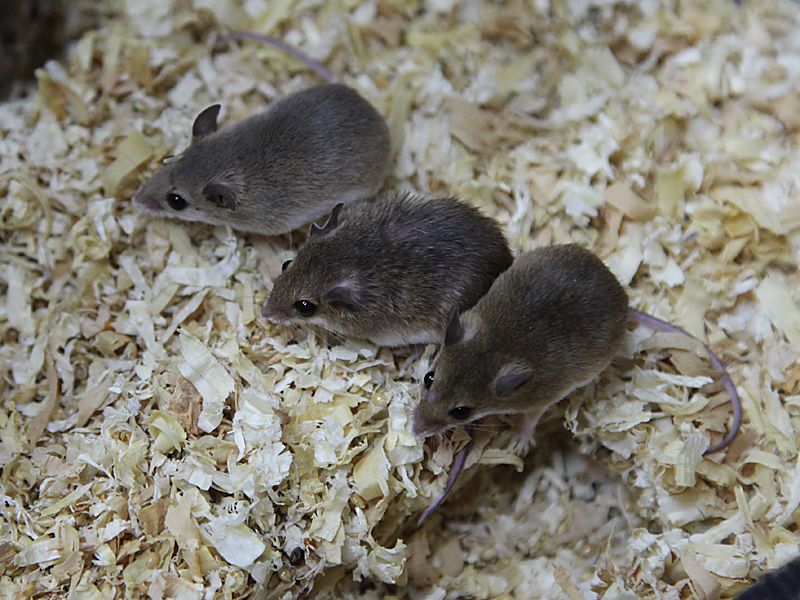 tempweb2e2HZCOjXp9TxD